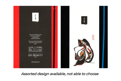 Assorted Lined Notebooks