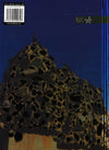 Gaudi Chimeneas 40R (Ruled Notebook)