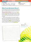 Sound And Light Interactive Science