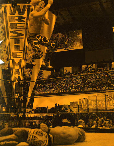 Wwe Absolutely Everything You Need To Know