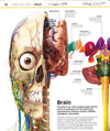Knowledge Encyclopedia Human Body!