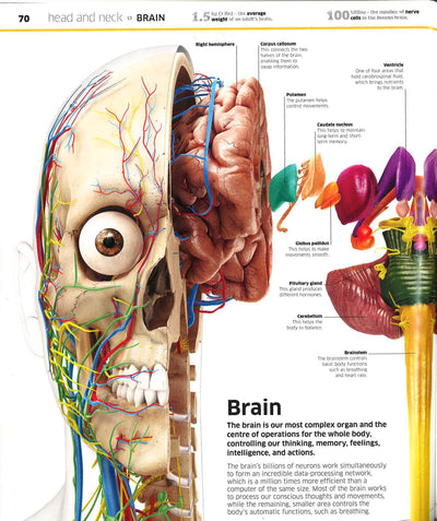 Knowledge Encyclopedia Human Body!