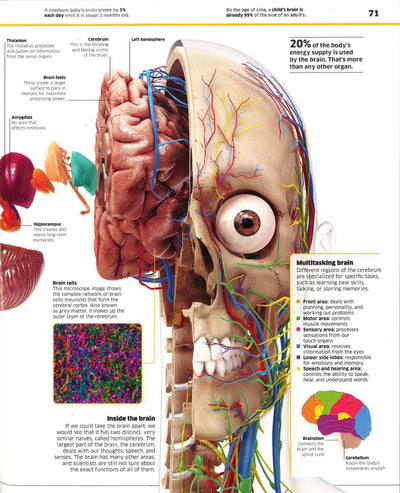 Knowledge Encyclopedia Human Body!