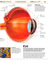 Knowledge Encyclopedia Human Body!