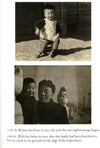 Hanging Man: The Arrest Of Ai Weiwei