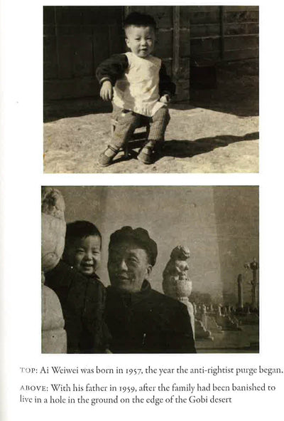 Hanging Man: The Arrest Of Ai Weiwei