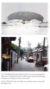Hanging Man: The Arrest Of Ai Weiwei