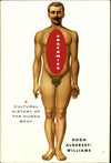 Anatomies Usa