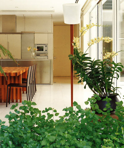 Tropical Minimal (Hb)