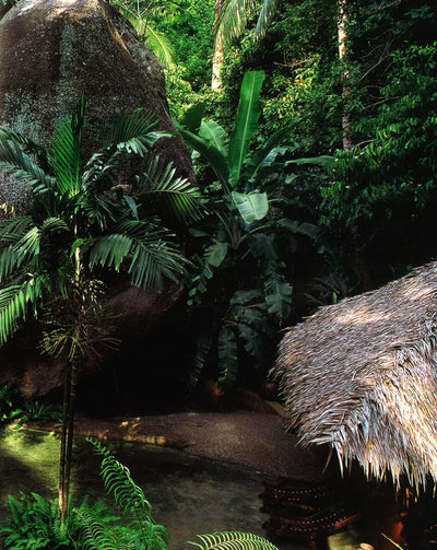 Ultimate Tropical