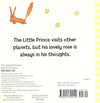 Travels With The Little Prince