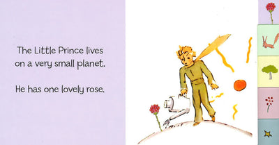 Travels With The Little Prince
