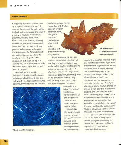 Nature's Connections: An Exploration Of Natural History