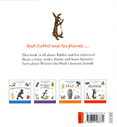Winnie-The-Pooh And Friends Rabbit