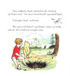 Winnie-The-Pooh And Friends Rabbit