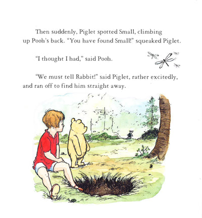Winnie-The-Pooh And Friends Rabbit