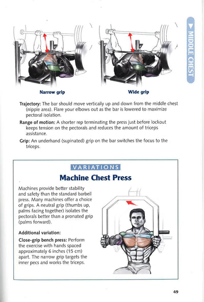 Bodybuilding Anatomy
