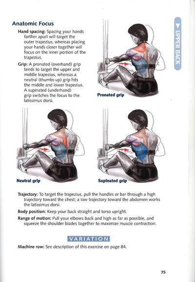Bodybuilding Anatomy
