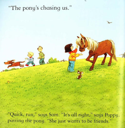 Usborne Farmyard Tales: The New Pony