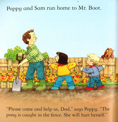 Usborne Farmyard Tales: The New Pony