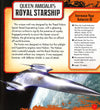 Star Wars: Ships Of The Galaxy