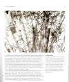 Bang! The Complete History Of The Universe.