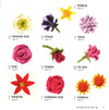 200 Fun Things To Knit: Decorative Flowers, Leaves, Bugs, Butterflies, And More!