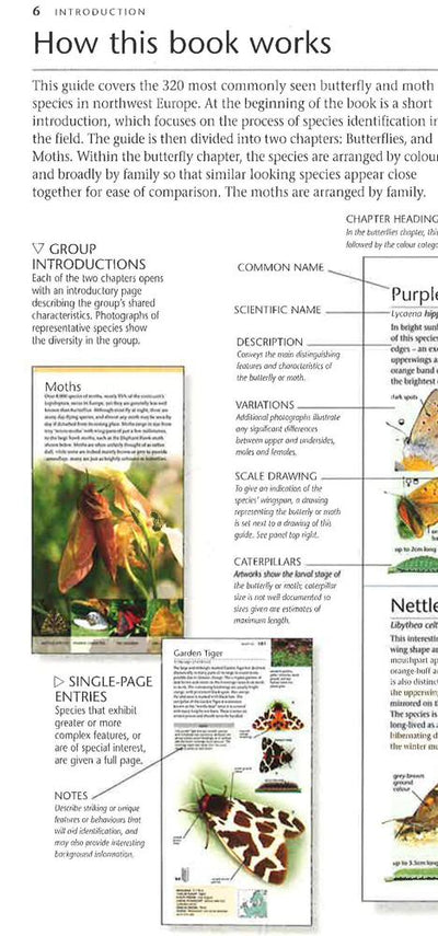 Butterflies And Moths: A Photographic Guide To British And European Butterflies And Moths (Pocket Nature)