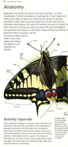 Butterflies And Moths: A Photographic Guide To British And European Butterflies And Moths (Pocket Nature)