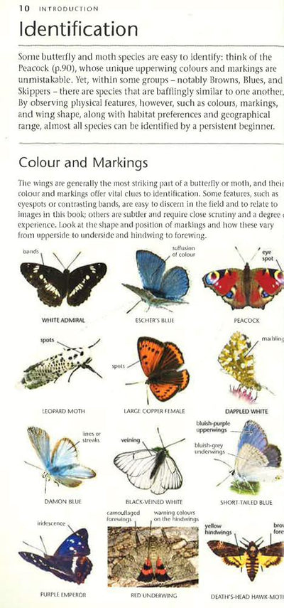Butterflies And Moths: A Photographic Guide To British And European Butterflies And Moths (Pocket Nature)