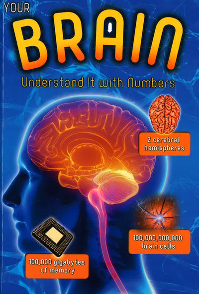 Your Brain