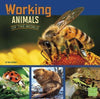Working Animals Of The World