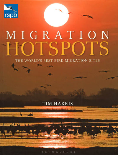 Rspb Migration Hotspots