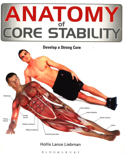Anatomy Of Core Stability