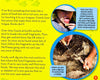 You Can Be A Paleontologist!: Discovering Dinosaurs With Dr. Scott (Science & Nature)