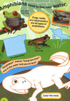Reptiles & Amphibians Sticker Activity Book