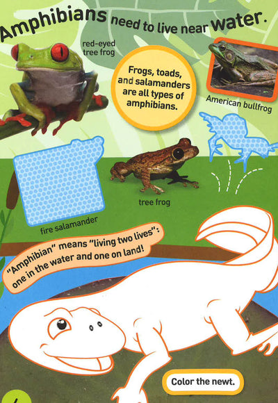 Reptiles & Amphibians Sticker Activity Book