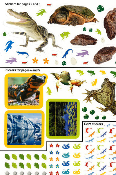 Reptiles & Amphibians Sticker Activity Book