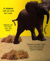 Discovery Kids Roar At The Zoo!: 10 Animal Sounds
