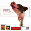 Piggy Parade
