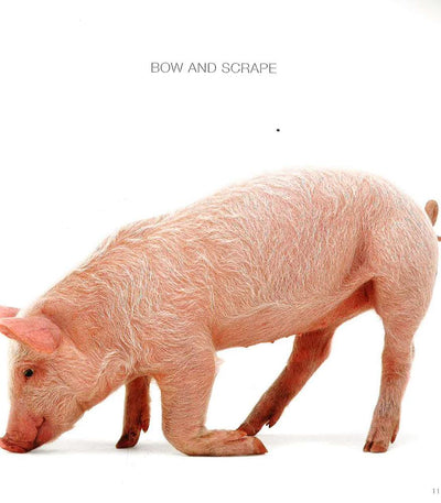 Piggy Parade