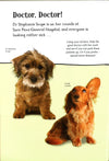 Amazing Jobs Sticker Book: Star Paws - An Animal Dress-Up Sticker Book