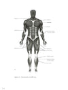 A Man's Guide To Muscle And Strength