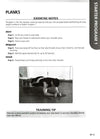 A Man's Guide To Muscle And Strength