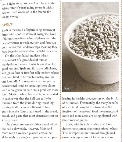 Ancient Grains