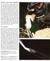 Chris Packham's Wild Side Of Town