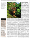 Chris Packham's Wild Side Of Town