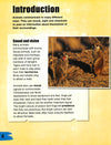 Amazing Animal Communicators