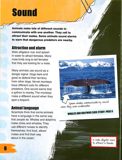 Amazing Animal Communicators