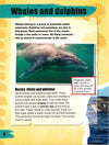 Amazing Animal Communicators